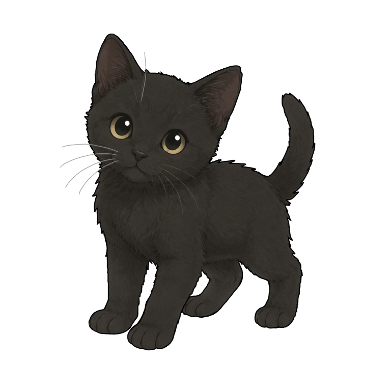 黒猫アルト